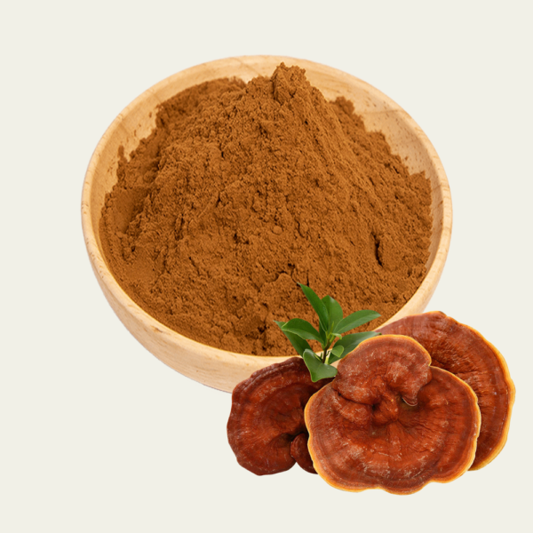 Reishi Mushroom Extract - Image 2