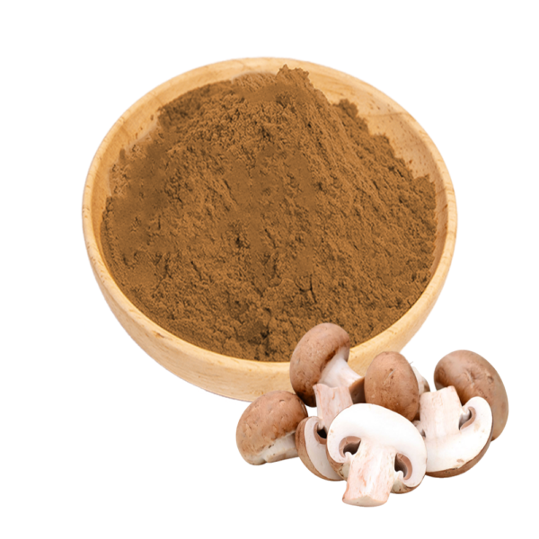 Shiitake Mushroom Extract - Image 2
