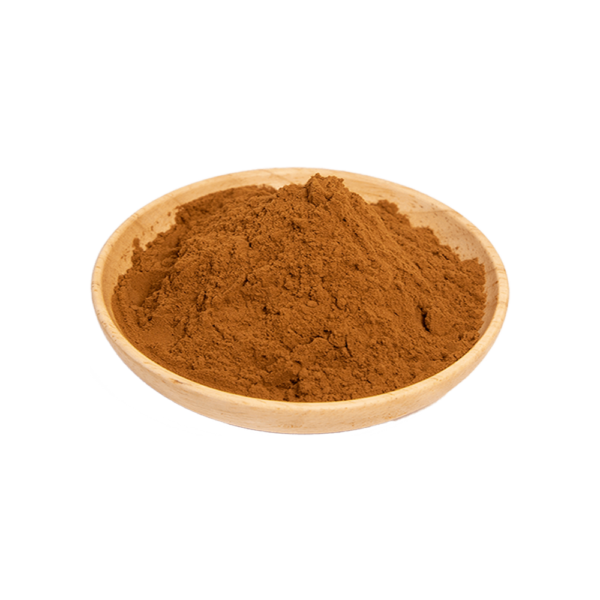 Reishi Mushroom Extract - Image 3
