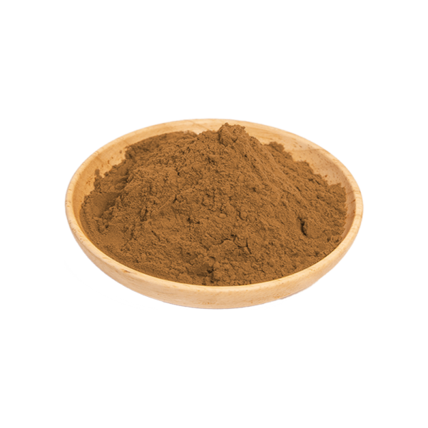 Shiitake Mushroom Extract - Image 3