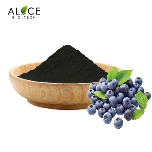 Blueberry Extract - Image 2
